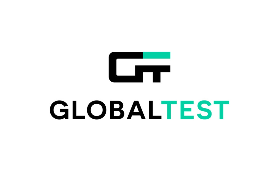 Айдентика «GlobalTest»